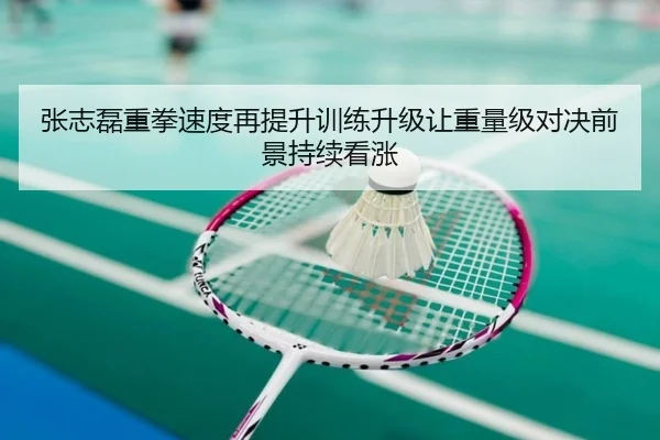 张志磊重拳速度再提升训练升级让重量级对决前景持续看涨